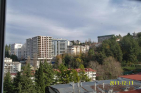 Apartment on pereulok Gorkogo 56